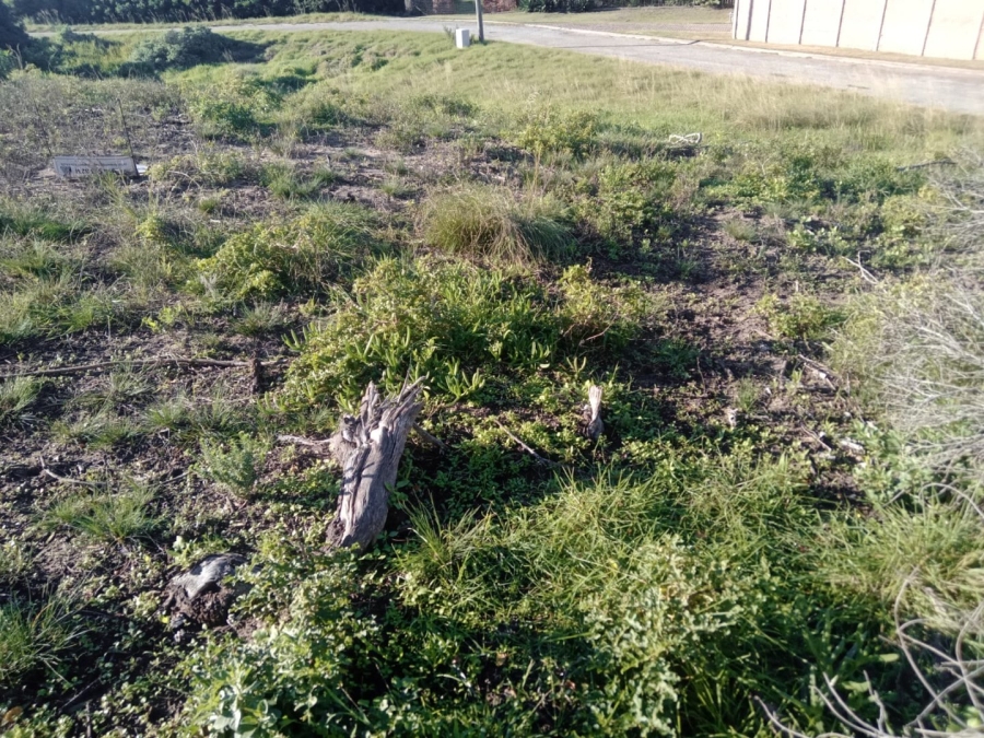 Commercial Property for Sale in Paradise Beach Eastern Cape
